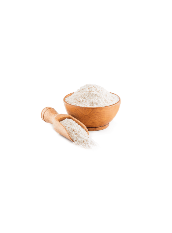 PALA Classica - New 2024