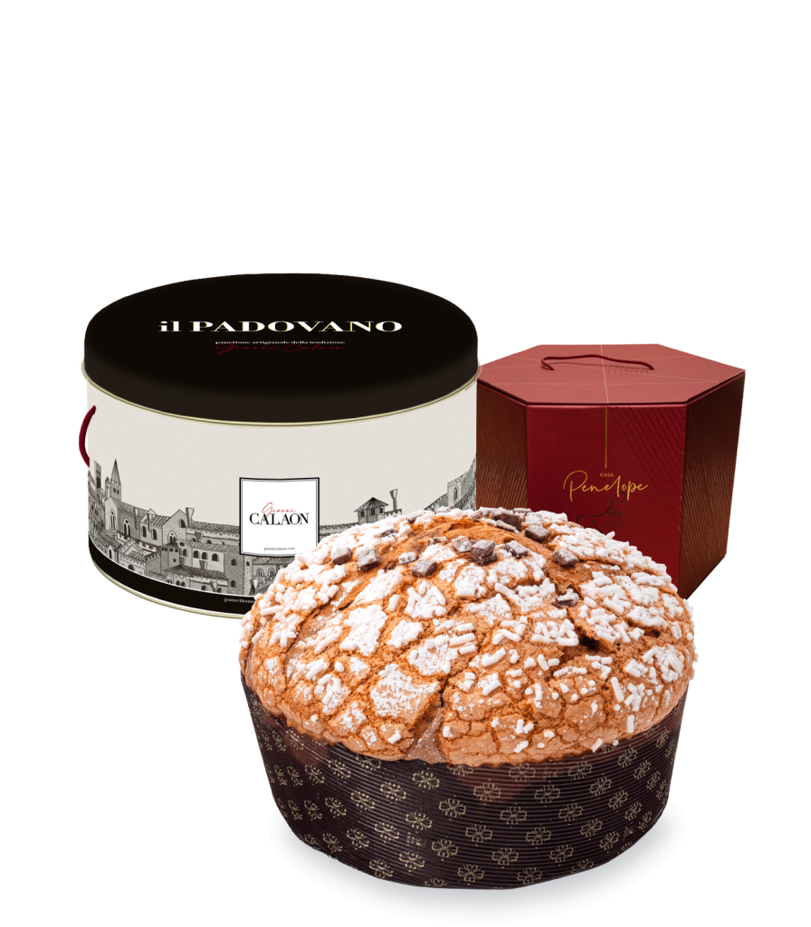 Panettone marasche e cioccolato di Gianni Calaon