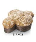COLOMBA-BIANCA-gianni-calaon-NEW