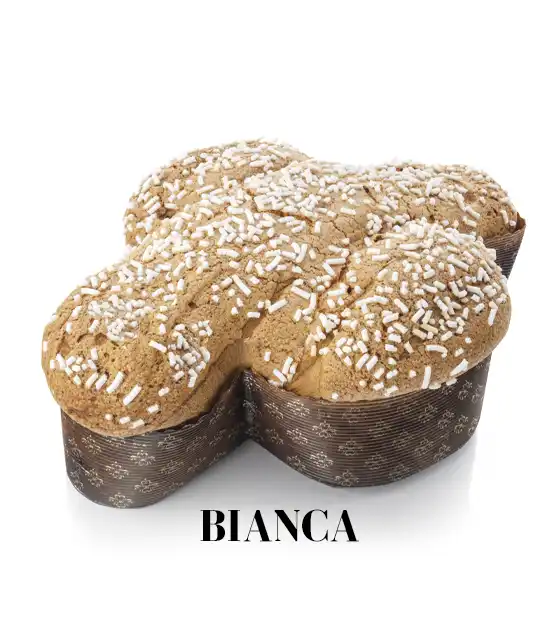 COLOMBA-BIANCA-gianni-calaon-NEW