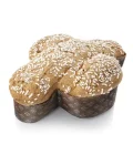 COLOMBA-classica-gianni-calaon-NEW